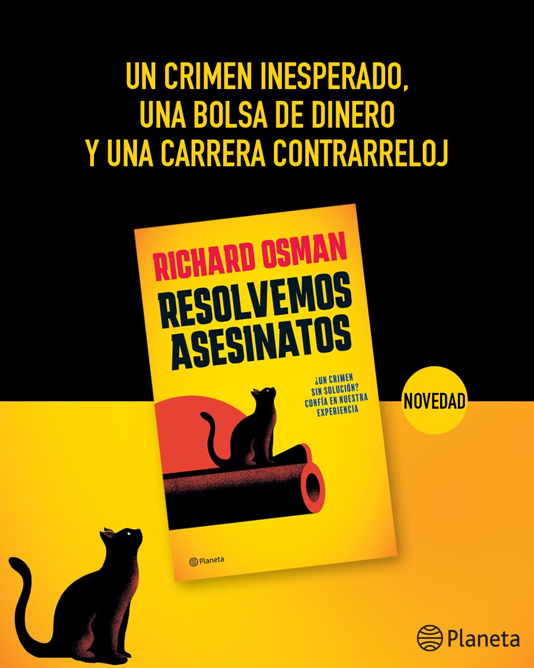 Resolvemos asesinatos
