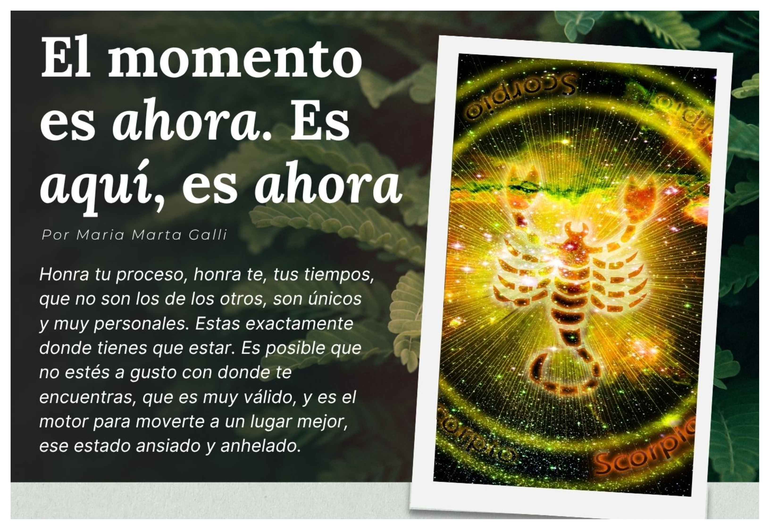 Contenidos Destacados - Newsletter Familia Holistica.