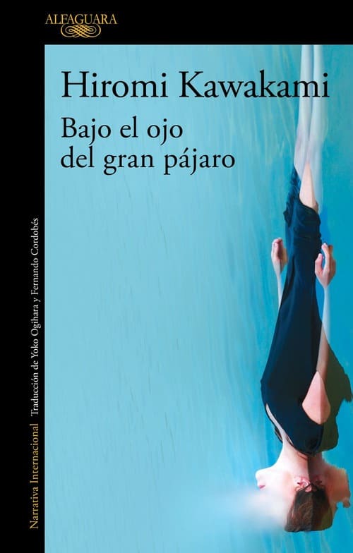 Bajo el ojo del gran pájaro