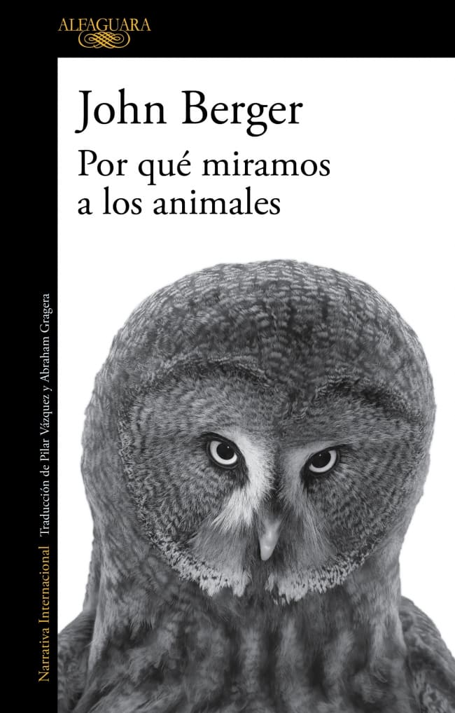Por qué miramos a los animales