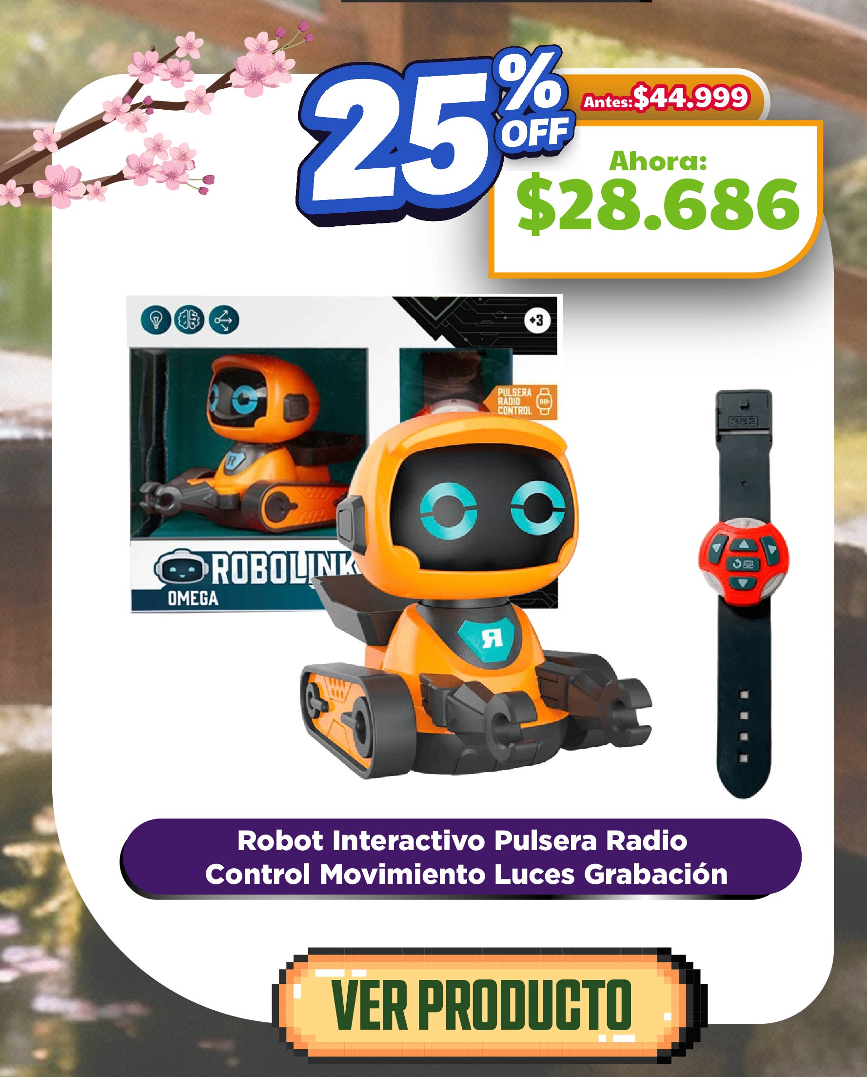 CityKids Juguetería